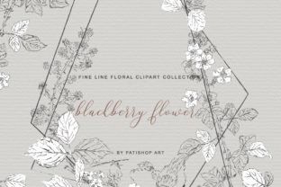 Elevating Digital Design with Hand Drawn Fine Line Clipart Blackberry Collections