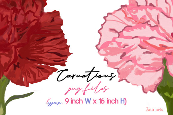 Evaluating the Set of 2 Carnations for High-Resolution Digital and Print Projects