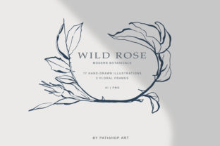 Modern Fine Art Hand Drawn Rose Clipart