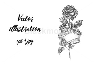 Rose Sketch with Ribbon: A Versatile Design Asset for Creative Professionals