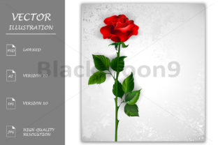 Straight Red Rose: A Timeless Symbol for Design and Expression