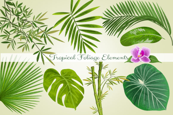 Tropical Foliage Graphic Elements for Creative Design Projects